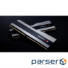 Memory module G.SKILL Trident Z5 Metallic Silver DDR5 6000MHz 64GB Kit 2x3 (F5-6000J3238G32GX2-TZ5S)