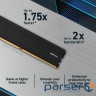 Модуль пам"яті для комп"ютера DDR5 48GB (2x24GB) 5600 MHz Micron (CP2K24G56C46U5)