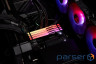 Модуль пам'яті KINGSTON FURY Beast RGB EXPO DDR5 5600MHz 32GB Black (KF556C36BBE2A-32)