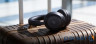 Навушники ANKER SoundСore Space 2 Black (D1402G11)