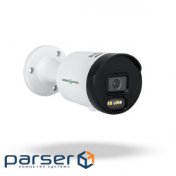 Зовнішня IP камера GreenVision GV-187-IP-ECO-AD-COS40-30 SD