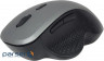 Миша Gembird MUSW-6B-02-BG Wireless Black-Spacegrey