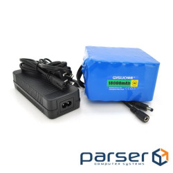 Акумуляторна батарея літієва QiSuo 24V 18A з елементами Li-ion 18650 + зарядний пристрій (QS-2418CH) (QS-2418CH)
