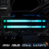 RAM Kingston FURY Beast RGB EXPO 16GB 5600MT/s DDR5 (Kit of 2) (KF556C36BBEAK2-16)