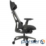 Крісло геймерське ASUS ROG Destrier Ergo (90GC0120-MSG010/020)