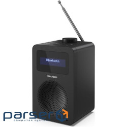 Радиоприемники DR430BK Black (DR-430(BK))