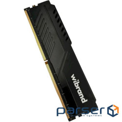 Модуль пам'яті WIBRAND DDR5 6000MHz 32GB (WI6000DDR5D/32GB)