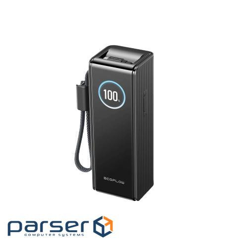 Павербанк EcoFlow RAPID Power Bank с кабелями 25000mAh черный (EF-RAPID25K100W-B-EU)