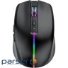 Wireless Mouse Proove Comet black (WMCM00022001)