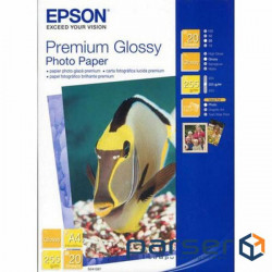 Photo paper Epson A4 Premium Glossy Photo (C13S041624)