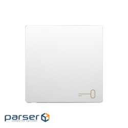 Клавиша Basic 1x с пиктограммой ключа, белый (BMKWK1/11)