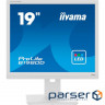 Monitor IIYAMA ProLite B1980D-W5