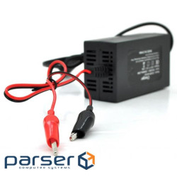 Mains charger Merlion YT-CH-12200