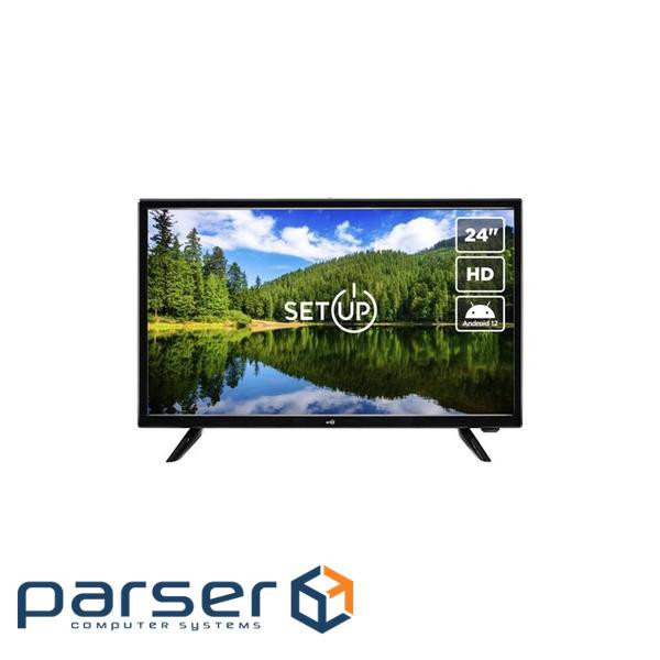 Телевізор SETUP 24HSF30