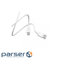 Дата кабель USB 2.0 AM to USB-C 2.0m 2.4A white BOROFONE (6957531090021)
