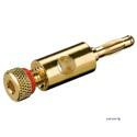 Plug FreeEnd-Banana,/M 4mm Gold RingRed with screw, golden (75.01.1684-1)