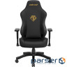 Ігрове крісло Anda Seat Phantom 3 Size L Black/Gold (AD18Y-06-B-PV/C)