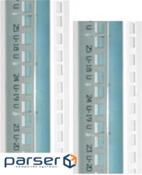 Professionals MIRSAN 19 