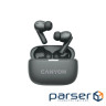 Навушники Canyon TWS-10 OnGo ANC ENC Graphite (CNS-TWS10B)